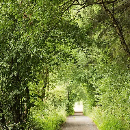 Hotel Naturresort Tannenhof Gmbh Grossmaischeid