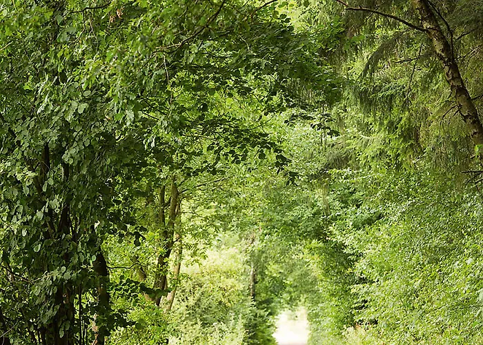 Hotel Naturresort Tannenhof Grossmaischeid